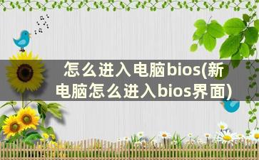 怎么进入电脑bios(新电脑怎么进入bios界面)