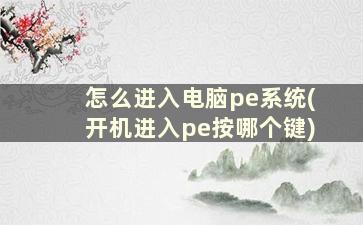 怎么进入电脑pe系统(开机进入pe按哪个键)