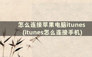 怎么连接苹果电脑itunes(itunes怎么连接手机)