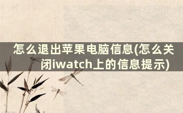 怎么退出苹果电脑信息(怎么关闭iwatch上的信息提示)