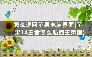 怎么退回苹果电脑界面(苹果14王者怎么退回主页面)