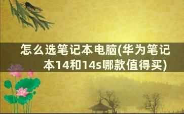 怎么选笔记本电脑(华为笔记本14和14s哪款值得买)