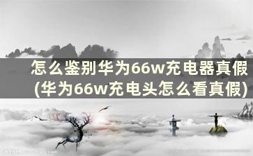 怎么鉴别华为66w充电器真假(华为66w充电头怎么看真假)