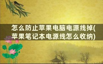 怎么防止苹果电脑电源线掉(苹果笔记本电源线怎么收纳)