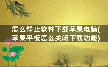 怎么静止软件下载苹果电脑(苹果平板怎么关闭下载功能)