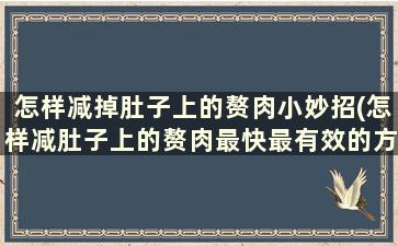 怎样减掉肚子上的赘肉小妙招(怎样减肚子上的赘肉最快最有效的方法)