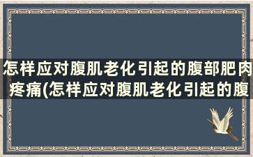 怎样应对腹肌老化引起的腹部肥肉疼痛(怎样应对腹肌老化引起的腹部肥肉松弛)