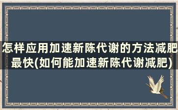 怎样应用加速新陈代谢的方法减肥最快(如何能加速新陈代谢减肥)