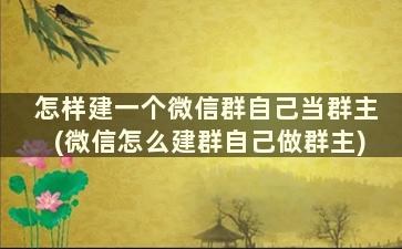 怎样建一个微信群自己当群主(微信怎么建群自己做群主)