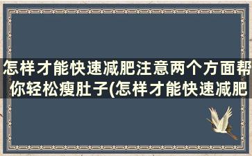 怎样才能快速减肥注意两个方面帮你轻松瘦肚子(怎样才能快速减肥注意两个方面帮你轻松瘦身)