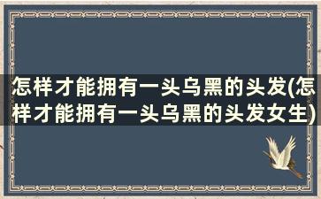 怎样才能拥有一头乌黑的头发(怎样才能拥有一头乌黑的头发女生)