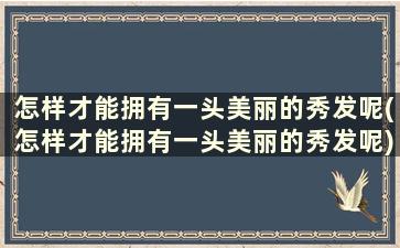 怎样才能拥有一头美丽的秀发呢(怎样才能拥有一头美丽的秀发呢)