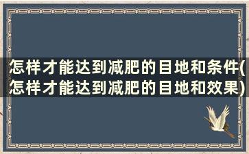 怎样才能达到减肥的目地和条件(怎样才能达到减肥的目地和效果)