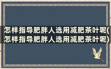 怎样指导肥胖人选用减肥茶叶呢(怎样指导肥胖人选用减肥茶叶呢)