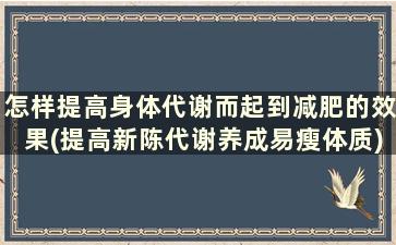 怎样提高身体代谢而起到减肥的效果(提高新陈代谢养成易瘦体质)