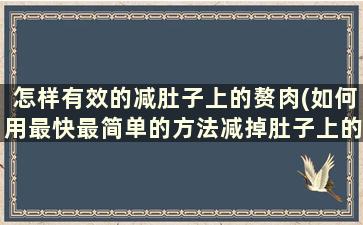 怎样有效的减肚子上的赘肉(如何用最快最简单的方法减掉肚子上的赘肉)