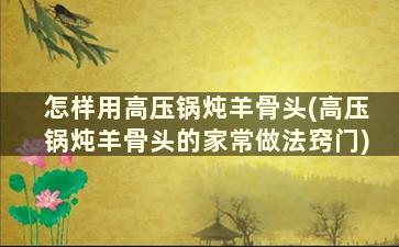 怎样用高压锅炖羊骨头(高压锅炖羊骨头的家常做法窍门)