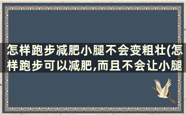 怎样跑步减肥小腿不会变粗壮(怎样跑步可以减肥,而且不会让小腿变肌肉)