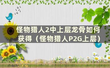 怪物猎人2中上层龙骨如何获得（怪物猎人P2G上层）