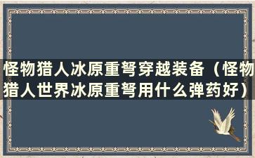 怪物猎人冰原重弩穿越装备（怪物猎人世界冰原重弩用什么弹药好）