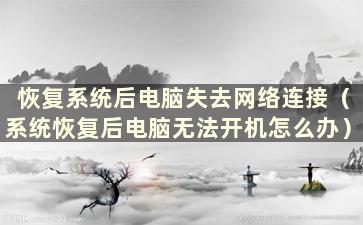 恢复系统后电脑失去网络连接（系统恢复后电脑无法开机怎么办）