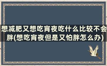 想减肥又想吃宵夜吃什么比较不会胖(想吃宵夜但是又怕胖怎么办)