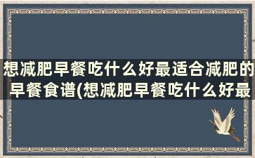 想减肥早餐吃什么好最适合减肥的早餐食谱(想减肥早餐吃什么好最适合减肥的早餐是什么)