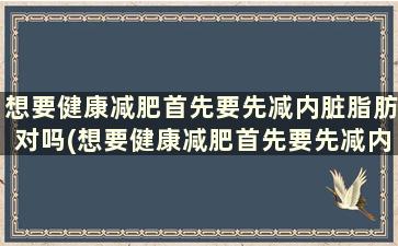 想要健康减肥首先要先减内脏脂肪对吗(想要健康减肥首先要先减内脏脂肪还是脂肪)