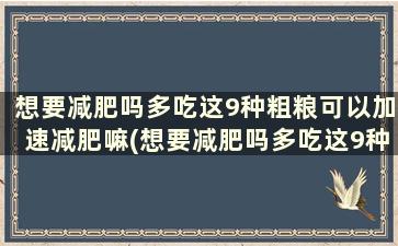 想要减肥吗多吃这9种粗粮可以加速减肥嘛(想要减肥吗多吃这9种粗粮可以加速减肥效果吗)