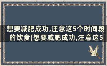 想要减肥成功,注意这5个时间段的饮食(想要减肥成功,注意这5个时间段的说说)