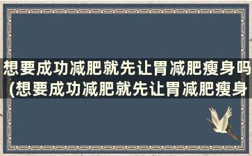 想要成功减肥就先让胃减肥瘦身吗(想要成功减肥就先让胃减肥瘦身可以吗)