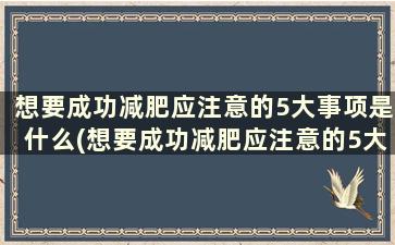 想要成功减肥应注意的5大事项是什么(想要成功减肥应注意的5大事项是)