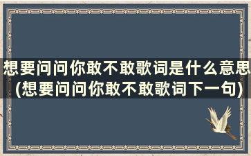 想要问问你敢不敢歌词是什么意思(想要问问你敢不敢歌词下一句)