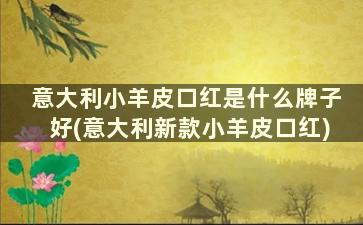 意大利小羊皮口红是什么牌子好(意大利新款小羊皮口红)