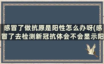 感冒了做抗原是阳性怎么办呀(感冒了去检测新冠抗体会不会显示阳性)