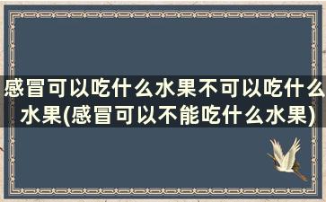 感冒可以吃什么水果不可以吃什么水果(感冒可以不能吃什么水果)