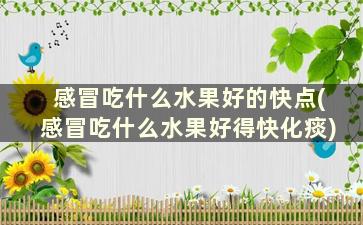 感冒吃什么水果好的快点(感冒吃什么水果好得快化痰)