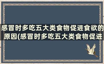 感冒时多吃五大类食物促进食欲的原因(感冒时多吃五大类食物促进食欲对吗)