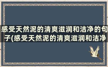 感受天然泥的清爽滋润和洁净的句子(感受天然泥的清爽滋润和洁净的美感)