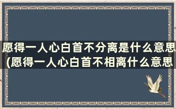 愿得一人心白首不分离是什么意思(愿得一人心白首不相离什么意思)