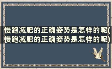 慢跑减肥的正确姿势是怎样的呢(慢跑减肥的正确姿势是怎样的呢)