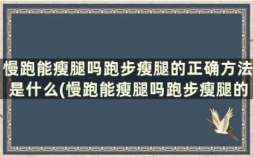 慢跑能瘦腿吗跑步瘦腿的正确方法是什么(慢跑能瘦腿吗跑步瘦腿的正确方法是什么)