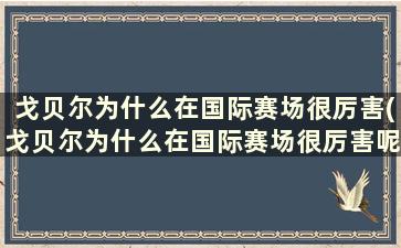 戈贝尔为什么在国际赛场很厉害(戈贝尔为什么在国际赛场很厉害呢)