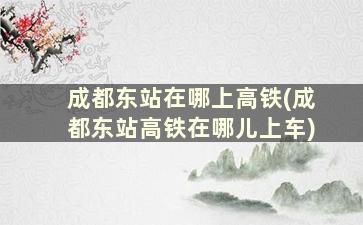 成都东站在哪上高铁(成都东站高铁在哪儿上车)