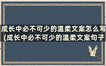 成长中必不可少的温柔文案怎么写(成长中必不可少的温柔文案句子)