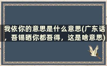 我依你的意思是什么意思(广东话，吾锡晒你都吾得，这是啥意思)