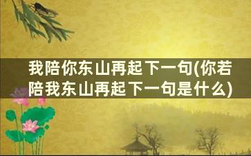 我陪你东山再起下一句(你若陪我东山再起下一句是什么)