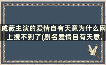 戚薇主演的爱情自有天意为什么网上搜不到了(剧名爱情自有天意,谢佳见,戚微,娄艺潇,陈赫主演)