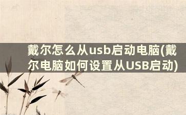 戴尔怎么从usb启动电脑(戴尔电脑如何设置从USB启动)