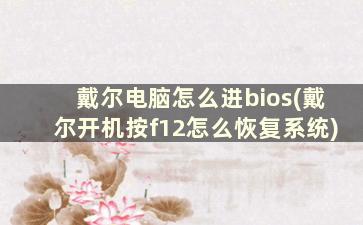 戴尔电脑怎么进bios(戴尔开机按f12怎么恢复系统)